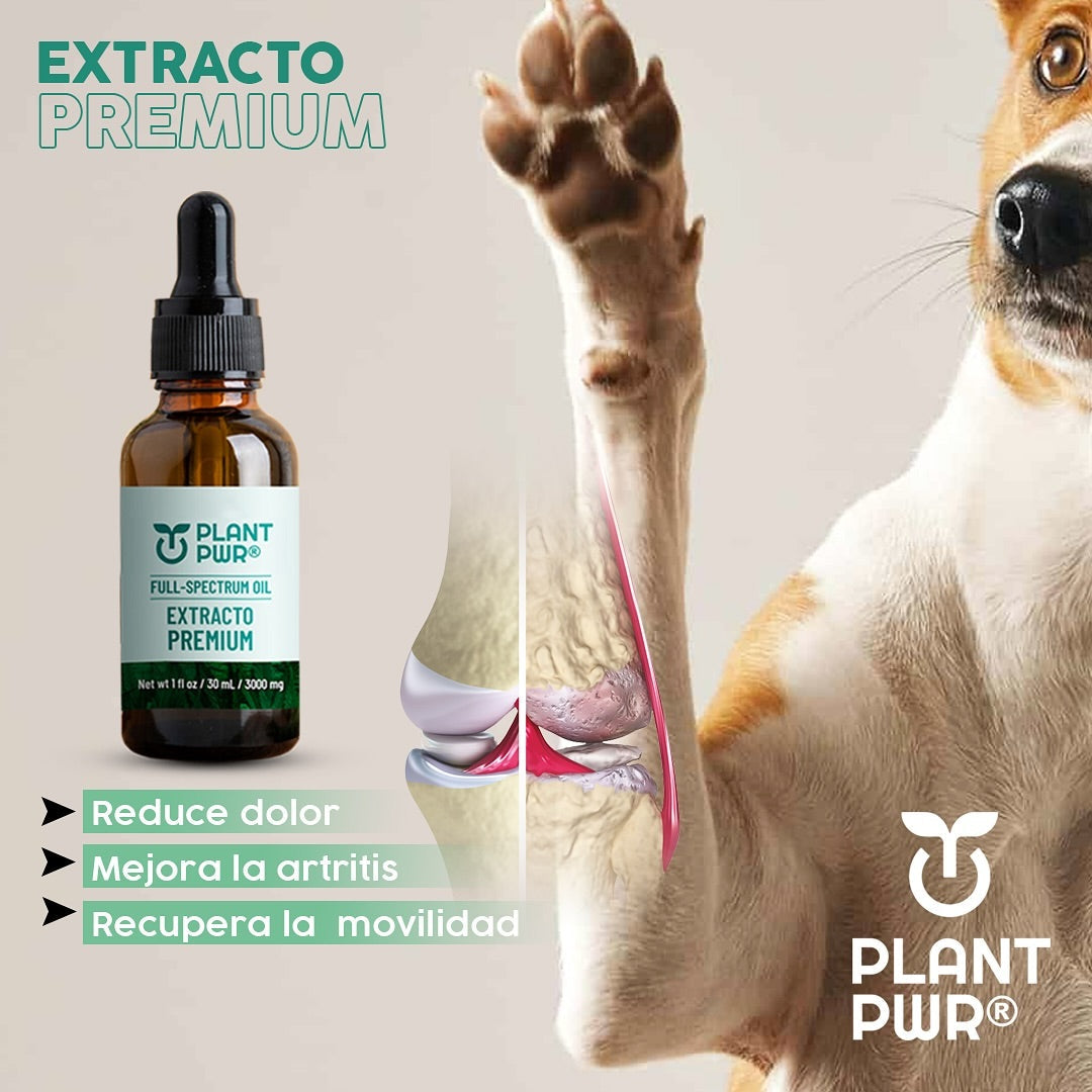 GOTAS PLANT PWR® Lleva GRATIS un E-BOOK Regalo 🎁