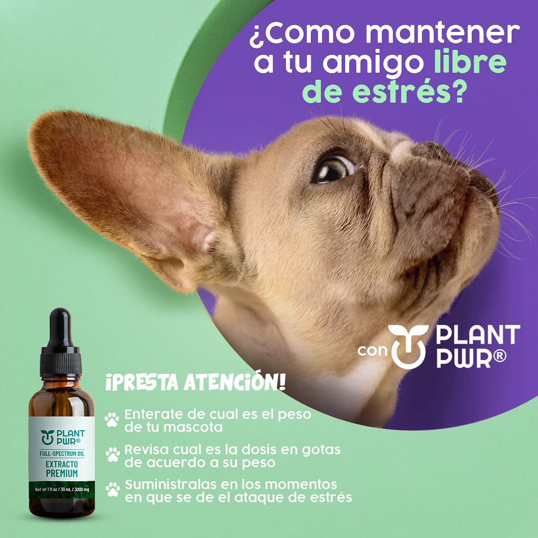 GOTAS PLANT PWR® Lleva GRATIS un E-BOOK Regalo 🎁