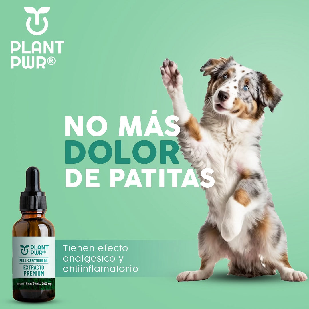 GOTAS PLANT PWR® Lleva GRATIS un E-BOOK Regalo 🎁