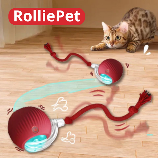 RolliePet® Pelota Interactiva