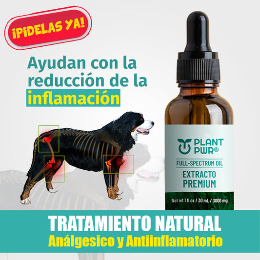 GOTAS PLANT PWR® Lleva GRATIS un E-BOOK Regalo 🎁