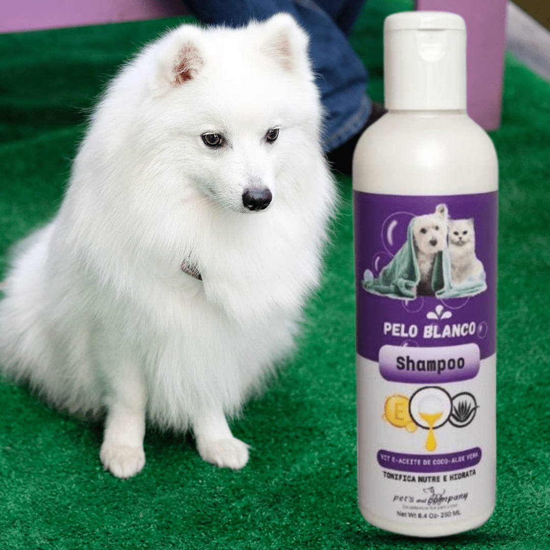 Kit Baño Mágico para Mascotas Pets and Company®